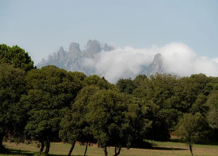 Camping - Village Del Mar