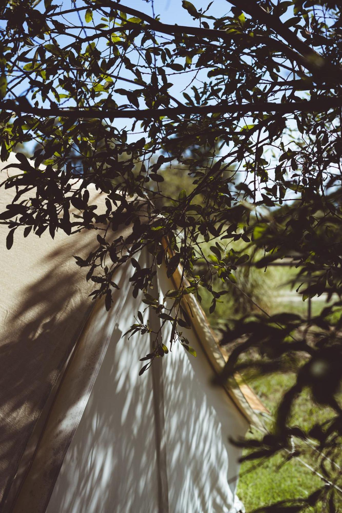 - Village Del Mar Luxury tent Solaro