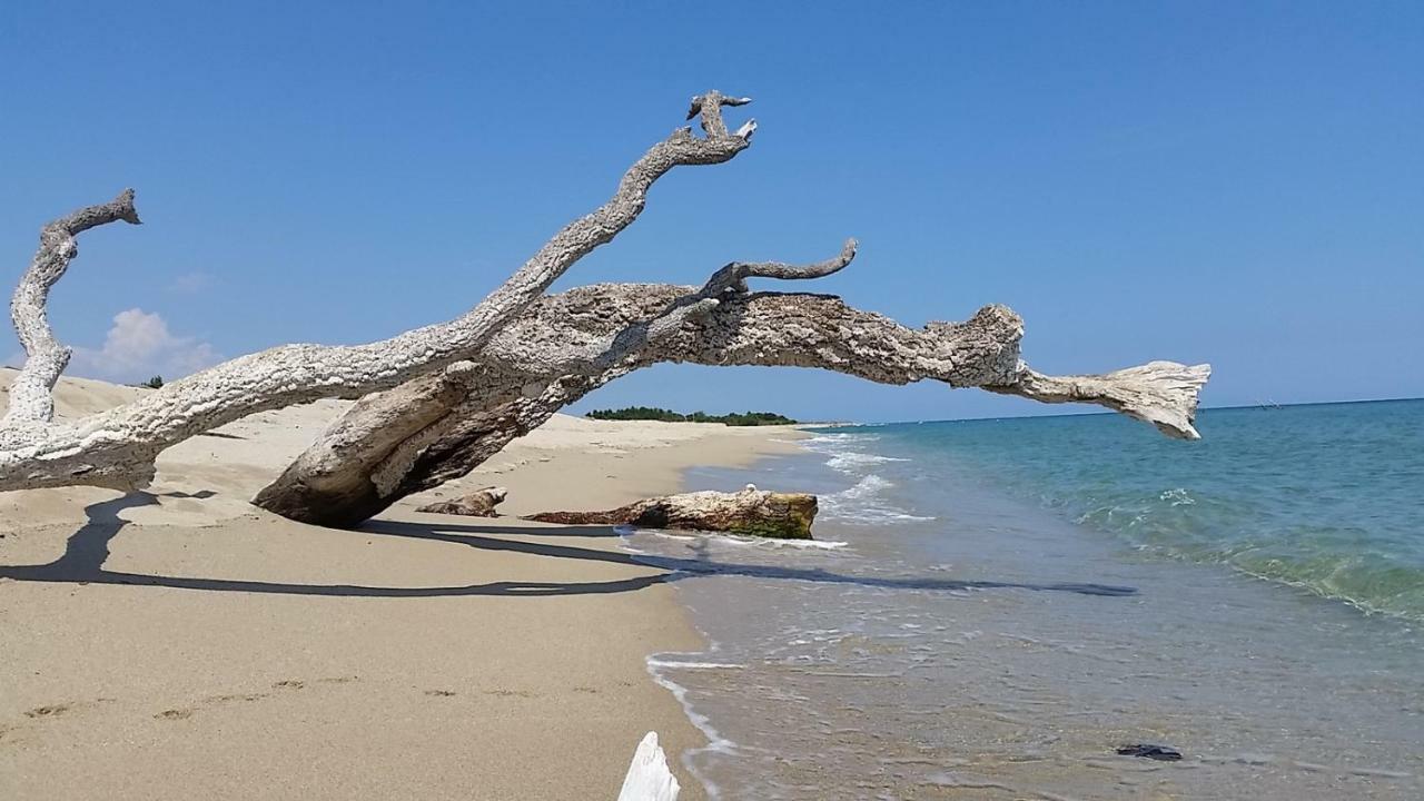 - Village Del Mar